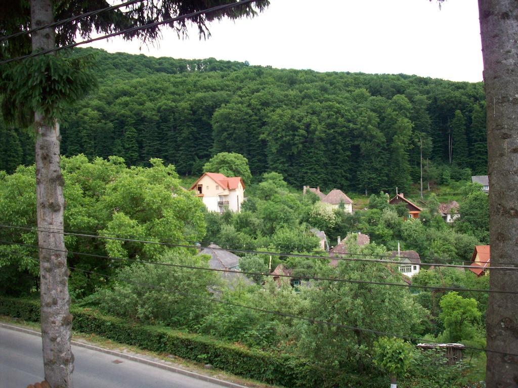 Cabana Bavaria Sovata Exteriör bild